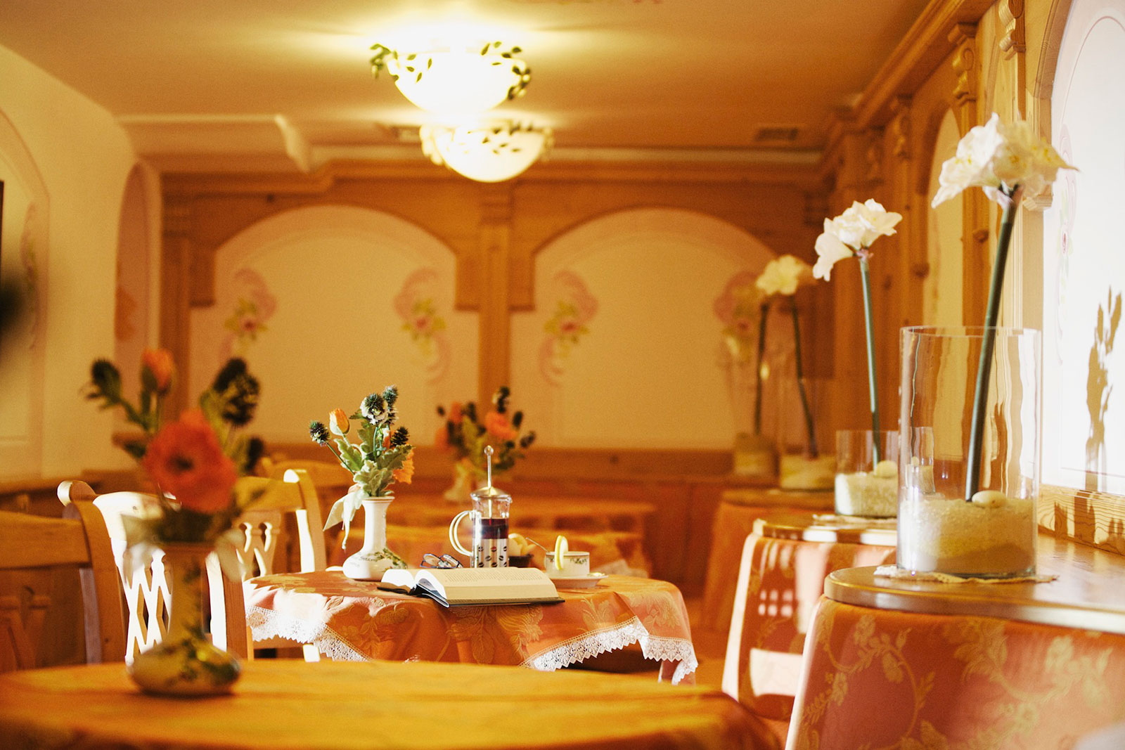 Zdjęcie Hotel Domina - 984