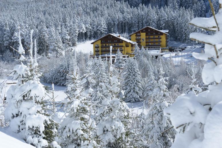 Zdjęcie Hotel Shandranj - 2