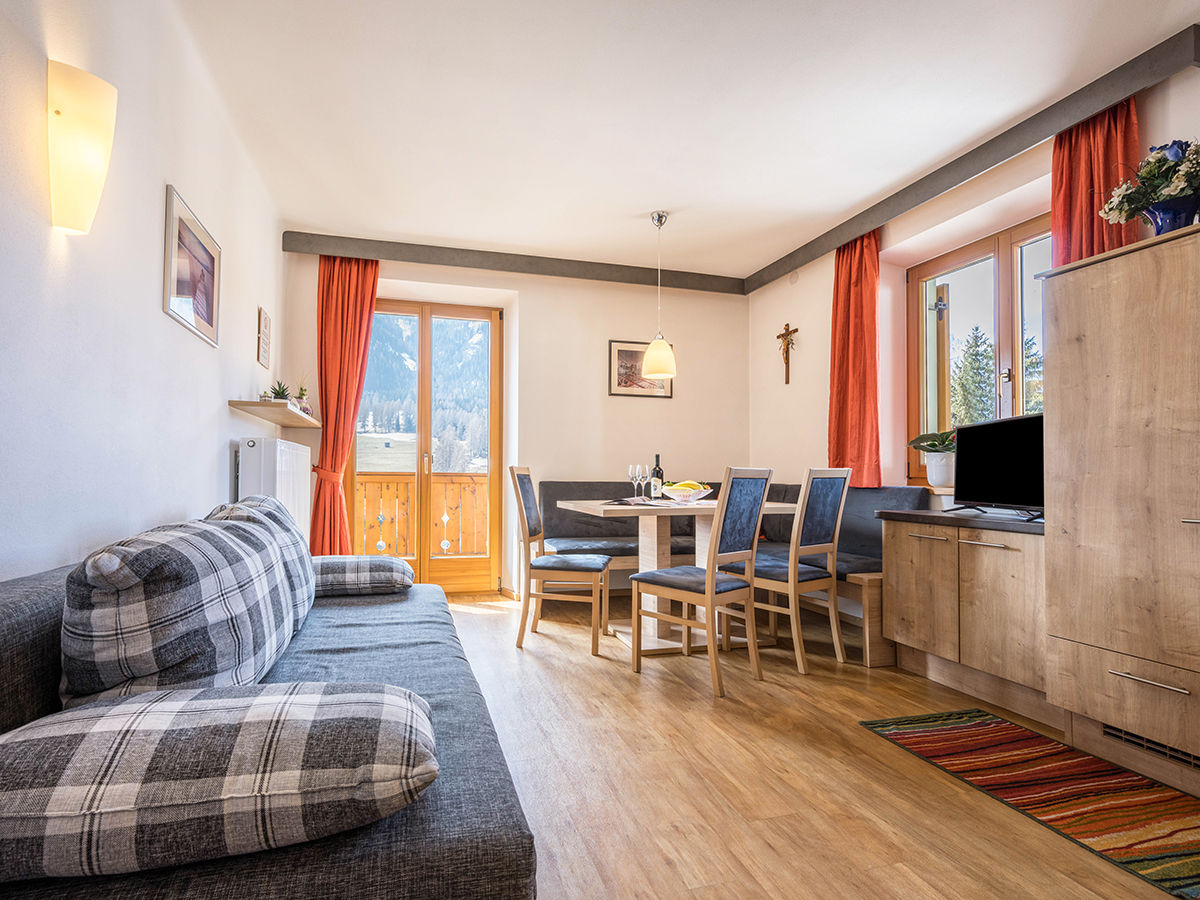 <p><strong>Apartament Stella Alpina</strong></p> 2