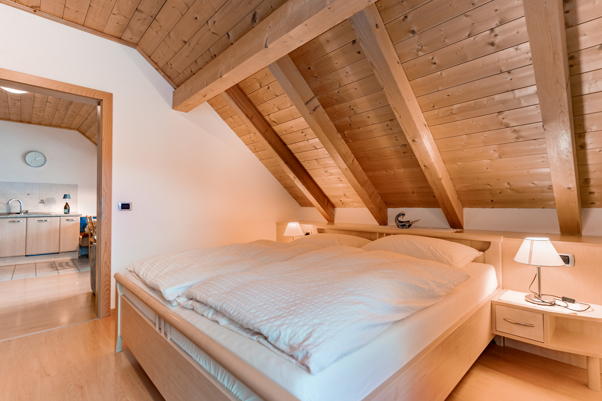 <p><strong>Apartament Senes</strong></p> 3